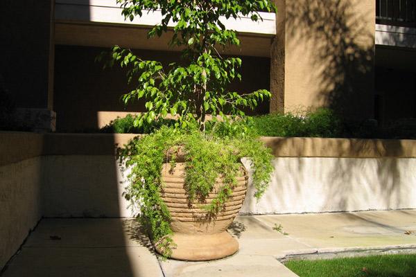 Jaffa Ribbed Planters & vases 2 Concrete Creations 