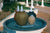 Water Features Commercial & Public