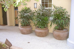 Manara 36" x 22.5" Planters & vases 2 Concrete Creations 