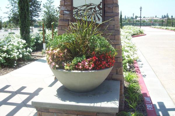 Symphony Bowl Bowls Concrete Creations 
