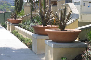 Westridge Bowl Bowls Concrete Creations 