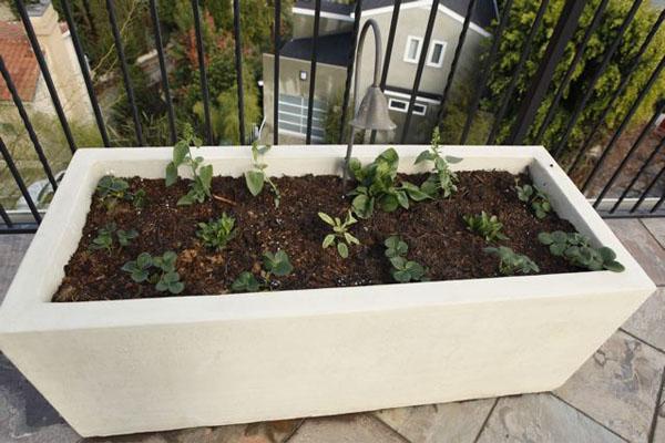 Geo Box Rectangular Contemporary / Modern planters Concrete Creations 