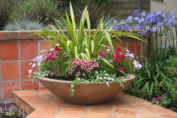 wok planter pots Wok
