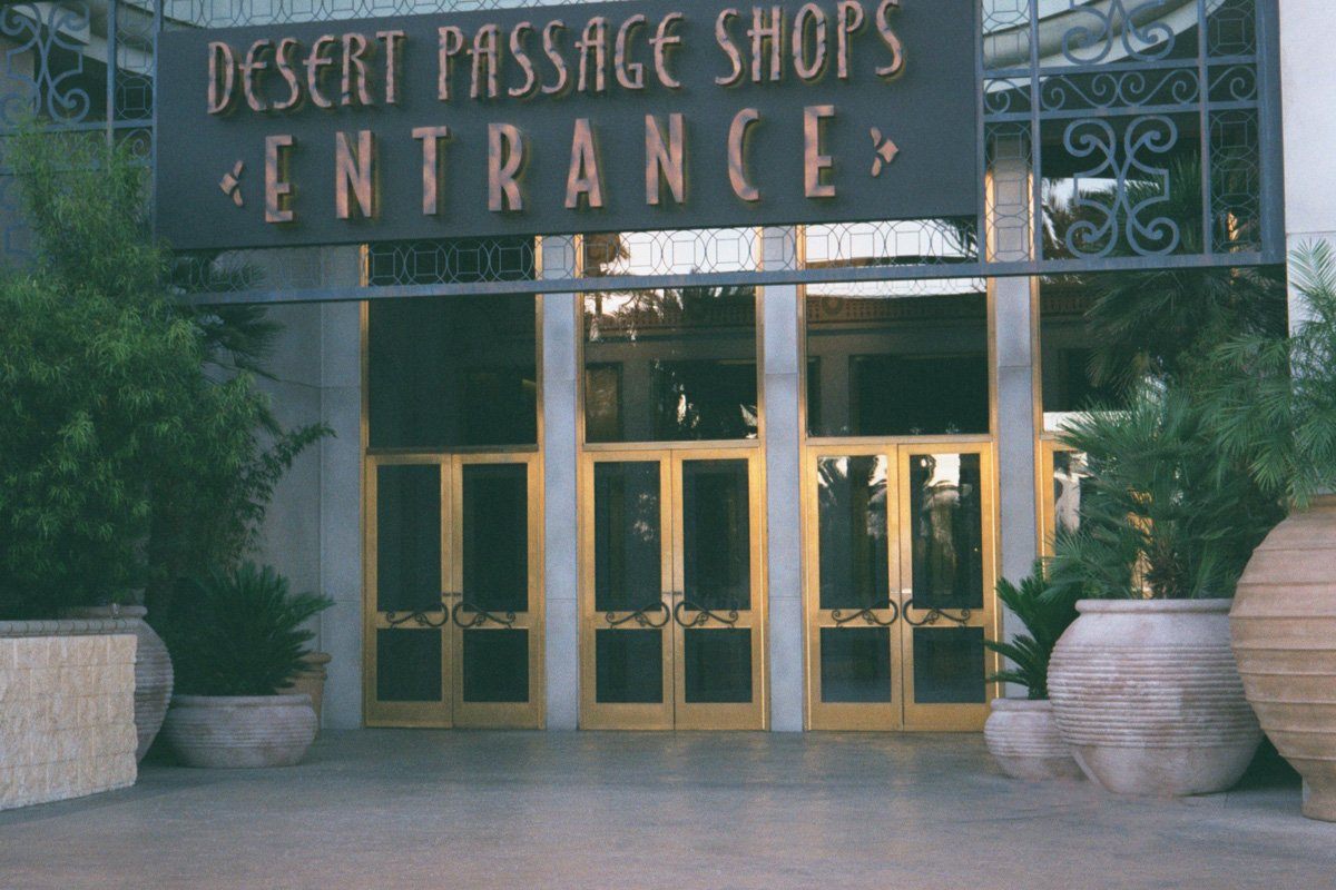 Megiddo Planters & Vases Concrete Creations 