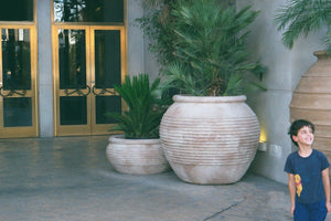 Megiddo Planters & Vases Concrete Creations 