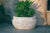 Manara Ribbed (ne-74) Planters & vases 2 Concrete Creations 