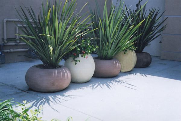 Calypso Planters & Vases Concrete Creations 