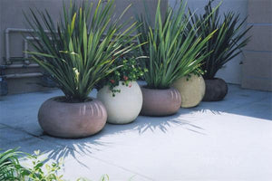 Calypso Contemporary / Modern planters Concrete Creations 